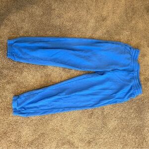 Aerie Sweatpants in Blue